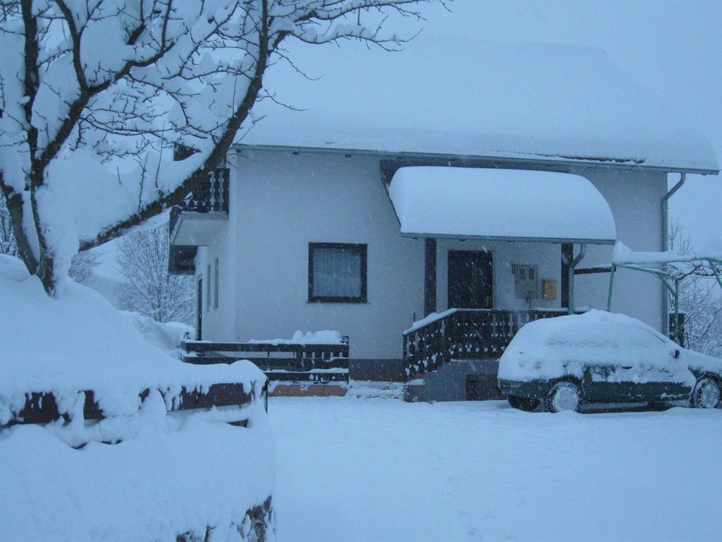 Apartments Dale Смолянац Экстерьер фото